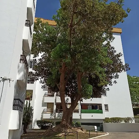 Reformado Luminoso Acogedor Marbella